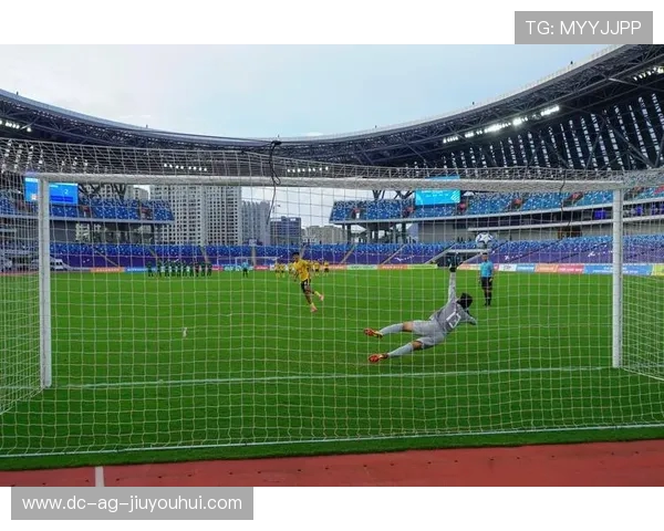 聚焦各县足球场数量分布全面探讨区域体育设施均衡建设策略与路径