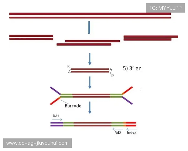 详解足球女神模板绘制步骤与创作技巧全面入门实用方法指南精要
